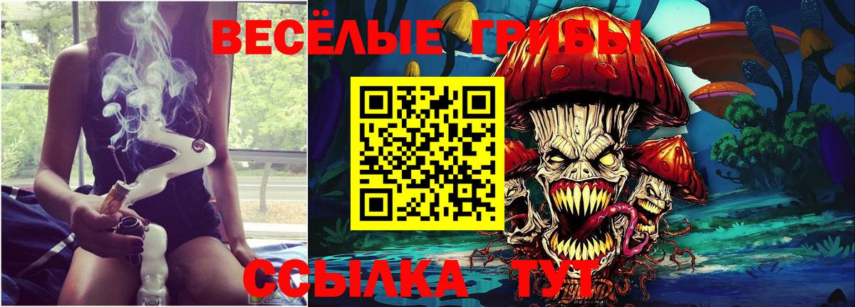 Псилоцибиновые грибы мицелий  Вход с VPN  Долгопрудный 